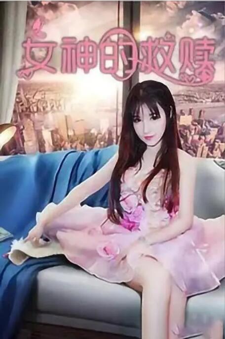 污翼鸟
